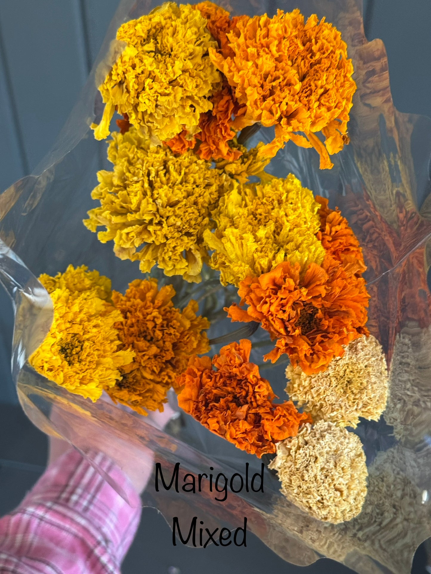 Dried Marigolds