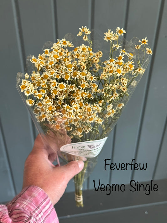 Dried Feverfew