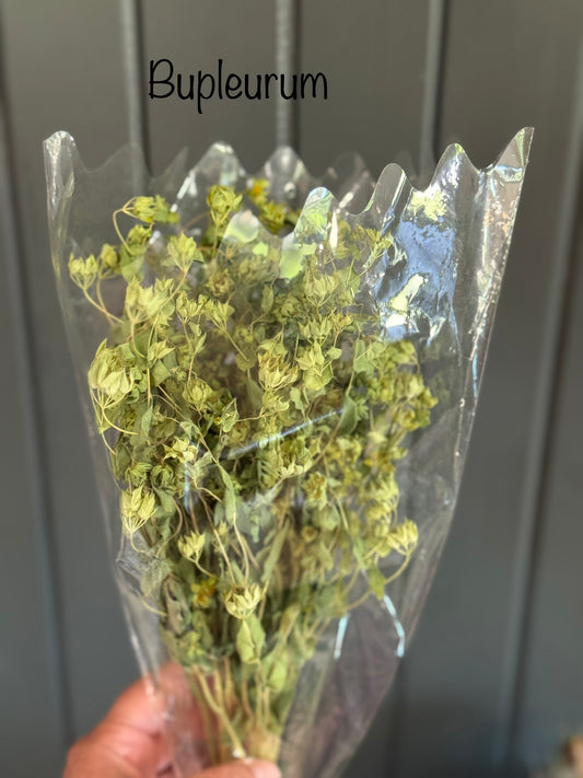 Dried Bupleurum