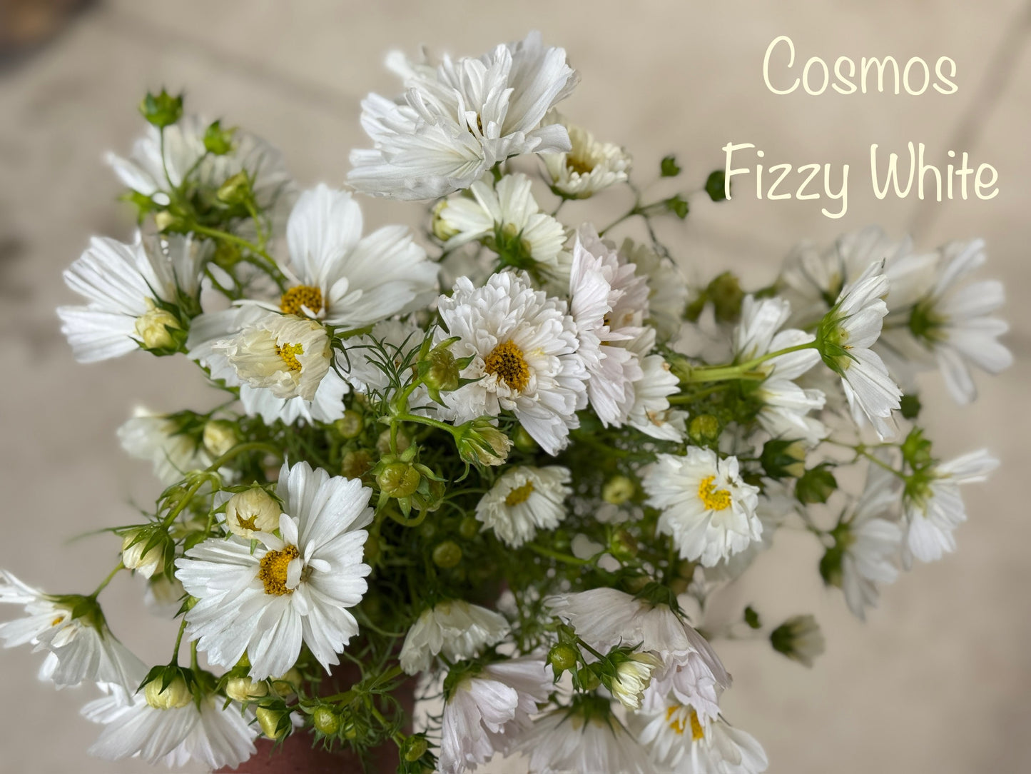 Flower of the Month Bouquet Workshops