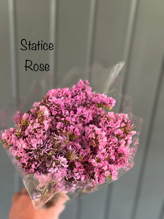 Dried Statice