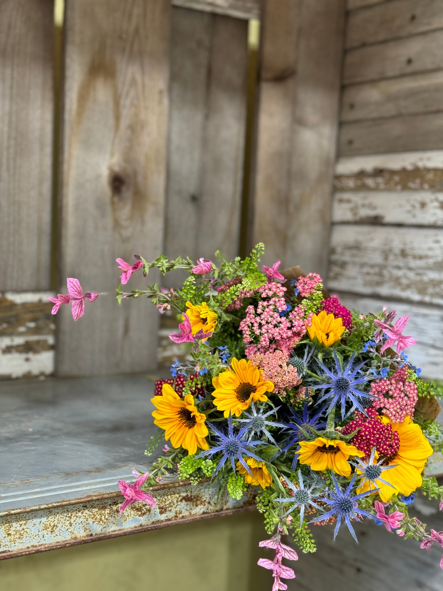 Summer Series Subscription