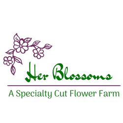 Herblossomsflowerfarm