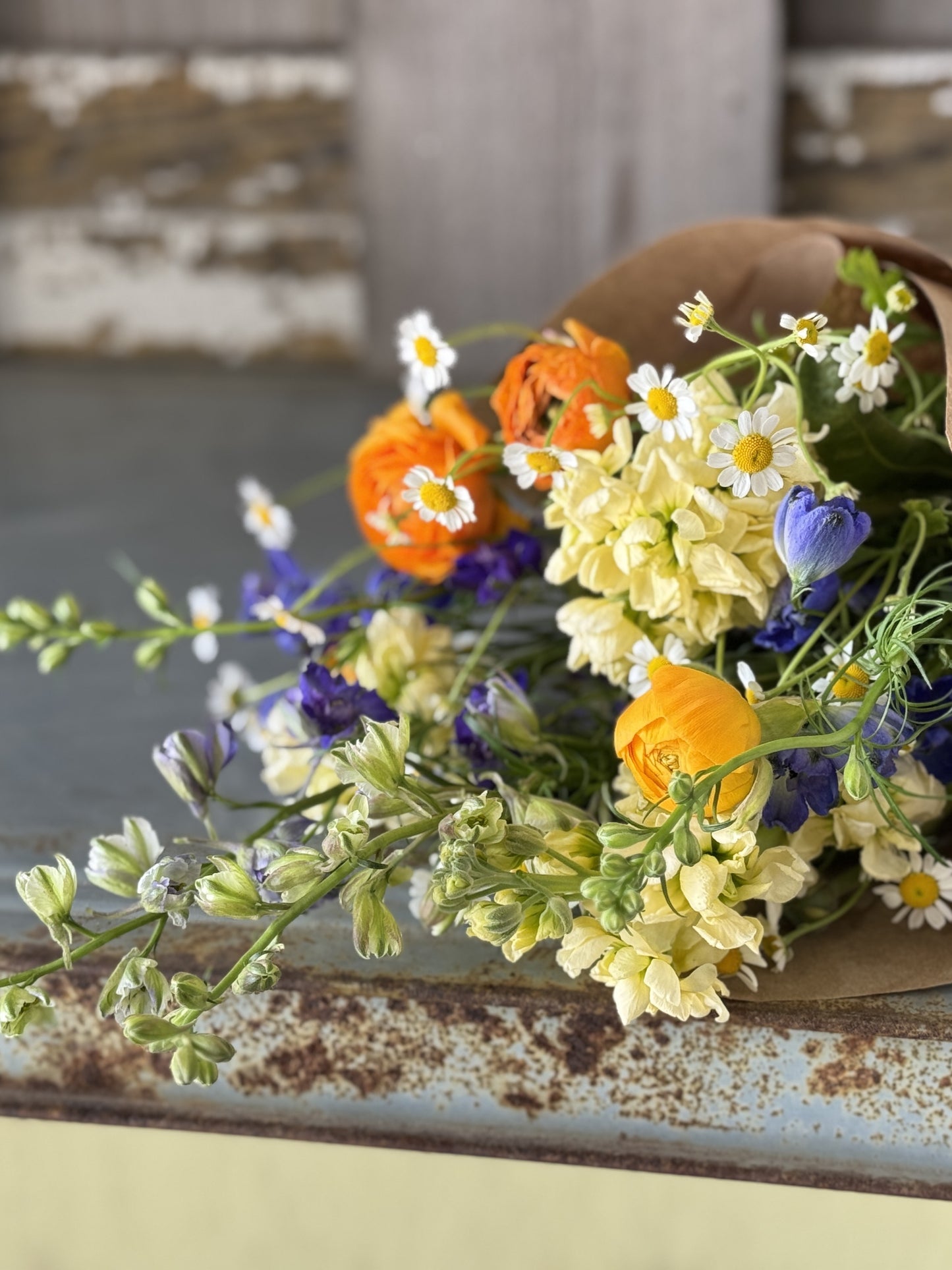 Spring Series Subscription