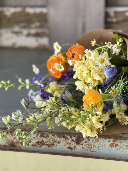 Spring Series Subscription