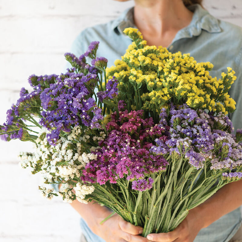 Flower of the Month Bouquet Workshops