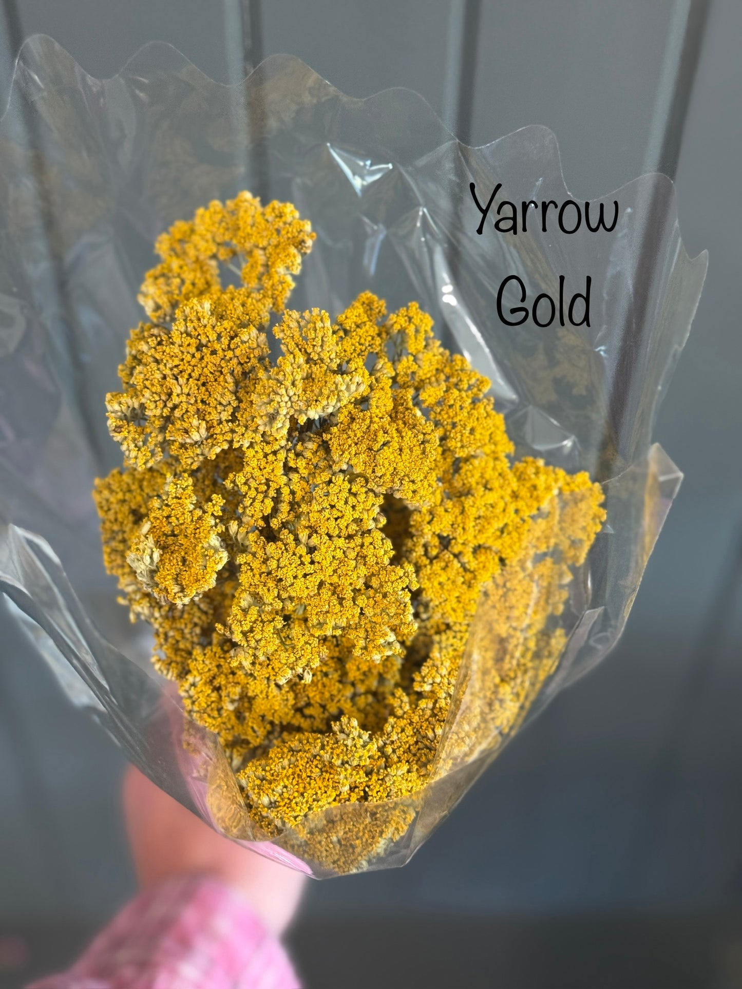 Dried Yarrow