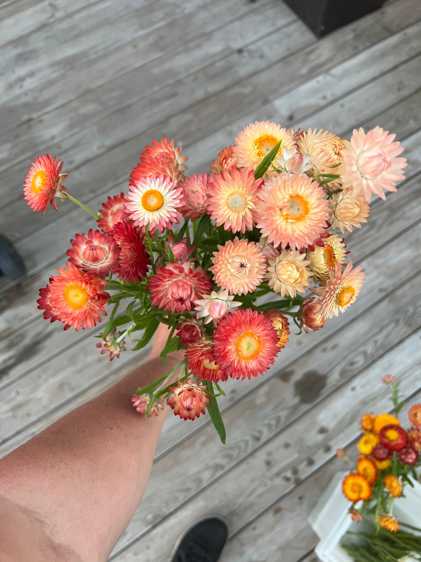 Flower of the Month Bouquet Workshops