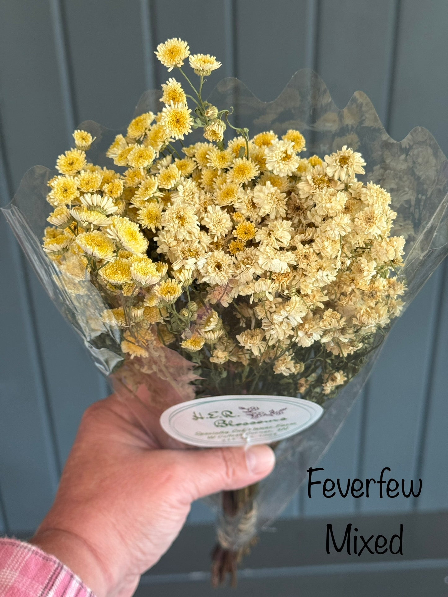 Dried Feverfew