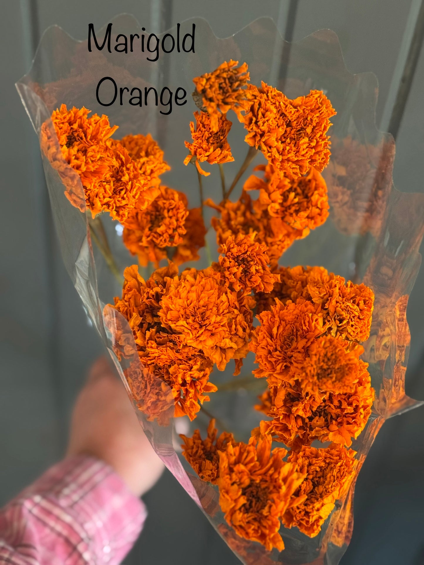 Dried Marigolds