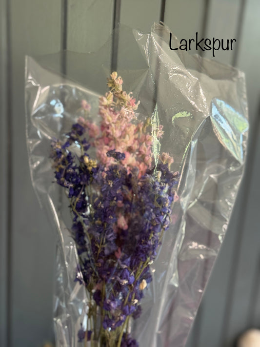 Dried Larkspur