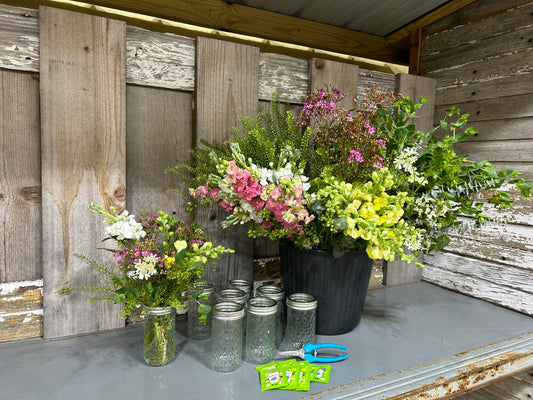 Buckets of Blooms
