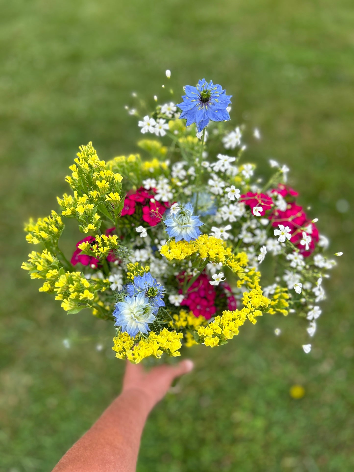Spring Weekly (8 Bouquets)