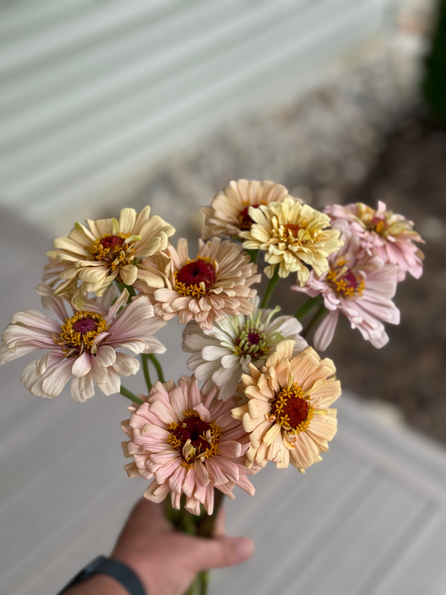 Flower of the Month Bouquet Workshops