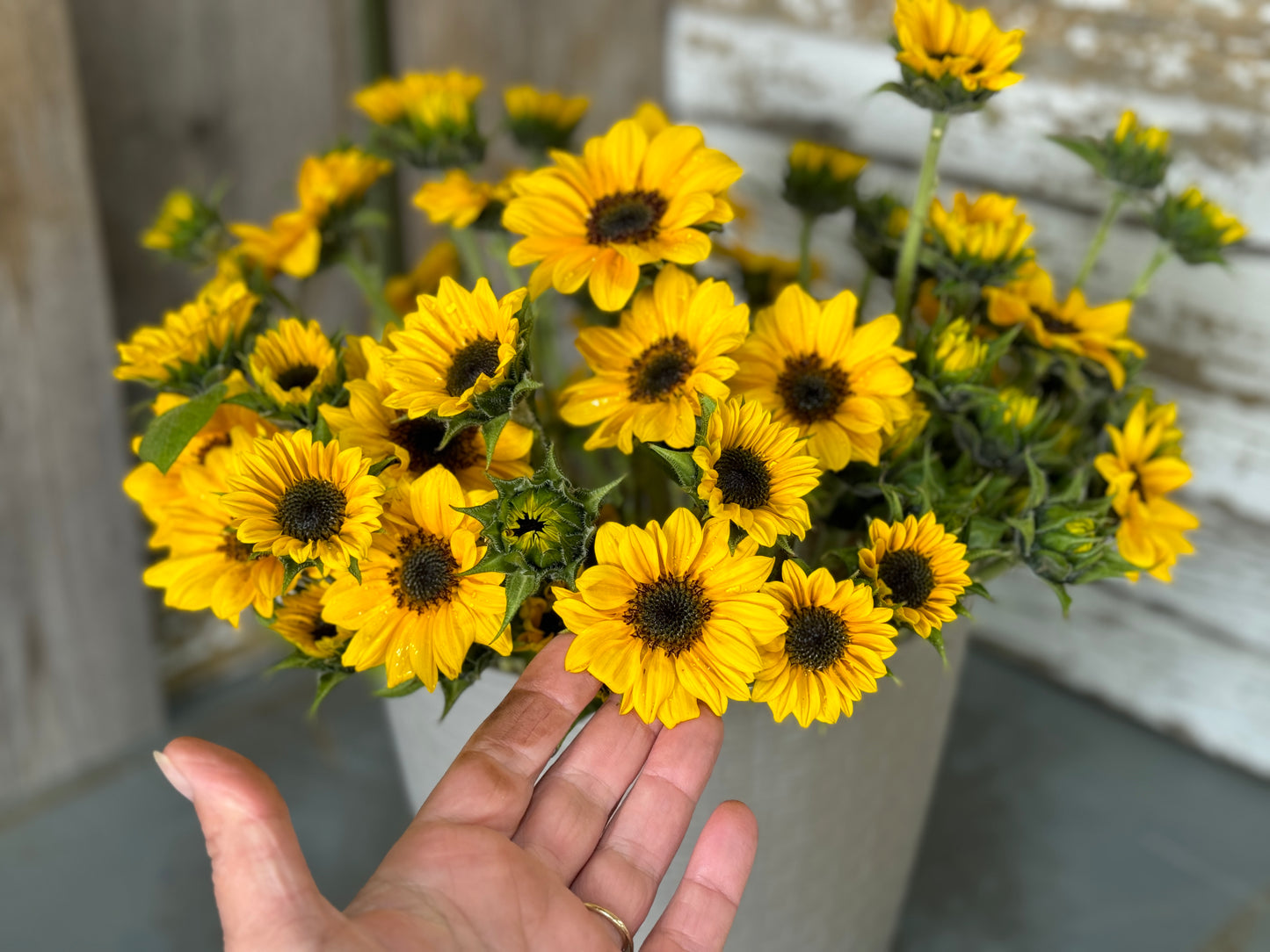 Flower of the Month Bouquet Workshops