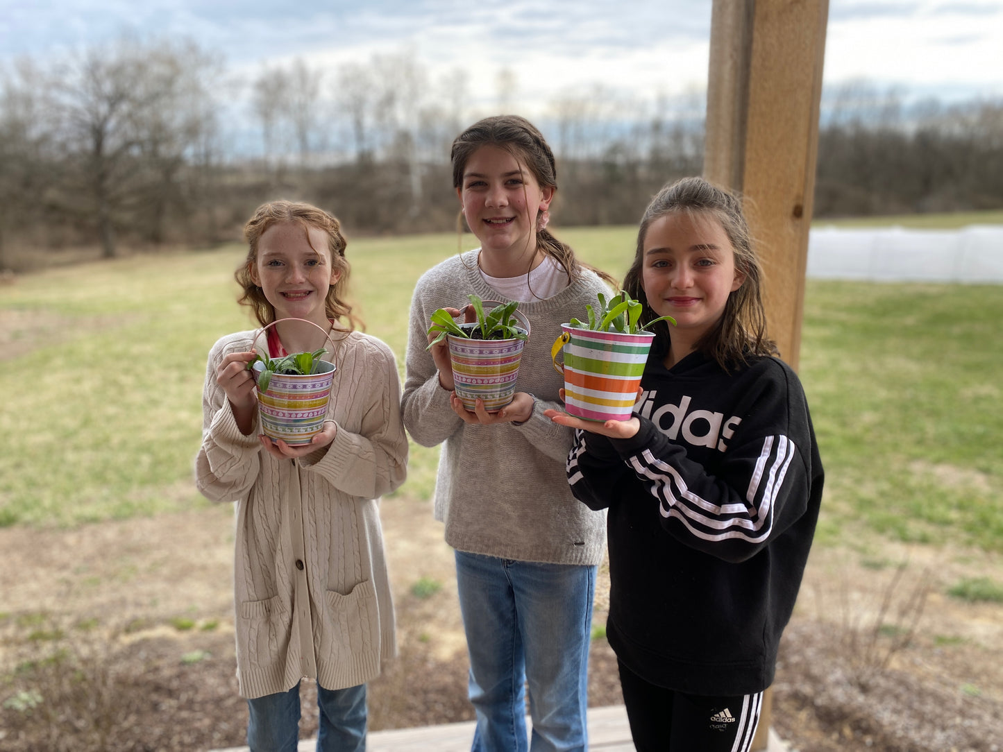Little Sprouts You-Pick Adventures