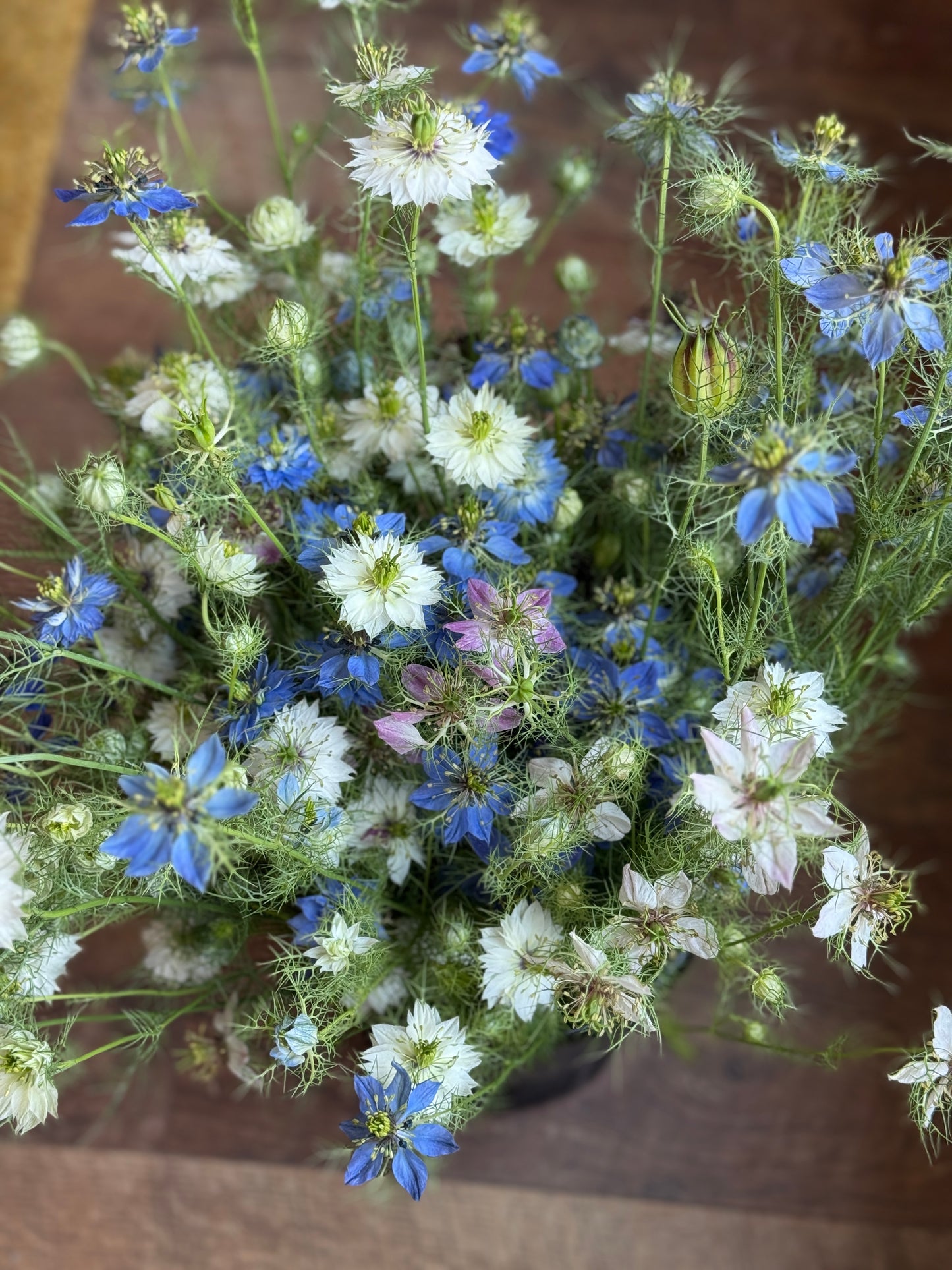 Cool Flowers & Soil Blocking Workshop