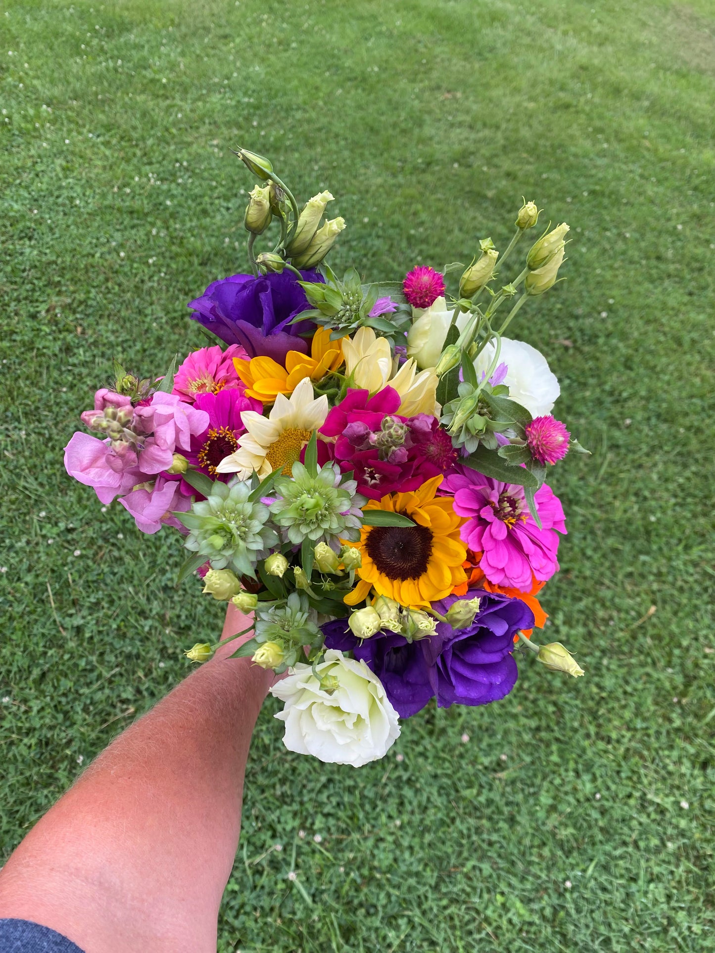 Early Summer Weekly (8 Bouquets)